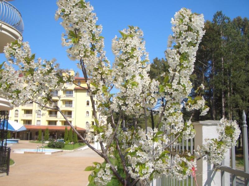 Aparthotel Complex Sunny Dreams Sunny Beach Exterior foto